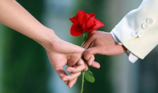 如何养好一支花 一束花怎么养