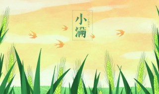 小满是农历几月几日（小满每年是固定的农历几月几日?）