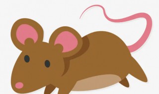 怎么让家里的老鼠灭绝(如何让家里的老鼠灭绝)