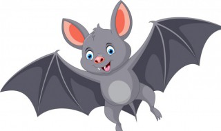 蝙蝠飞进家里怎么办 蝙蝠飞进家里咋办