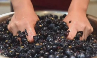 自己酿葡萄酒用什么葡萄好（自己酿葡萄酒用什么葡萄好喝）