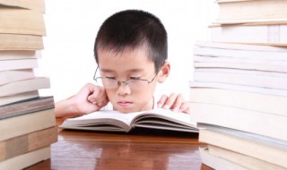 禹字组词语 囊字组词语