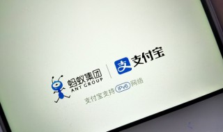 支付宝商家服务怎么开通（支付宝商家服务怎么开通不了）