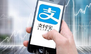 支付宝的支付密码怎么改 支付宝的支付密码怎么改成6位数字
