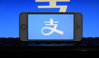 支付宝商家版怎么开通 支付宝商家版怎么开通商家收款码