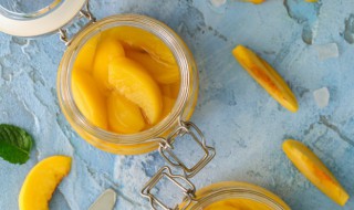 黄桃果树怎么种 黄桃果树种植