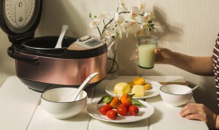 电饭煲怎么煮米饭（九阳微电脑智能电饭煲怎么煮米饭）