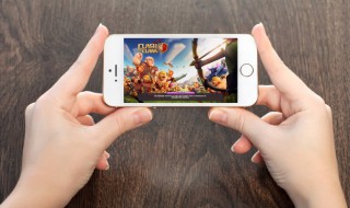 铃钱树怎么种动森 动森里摇钱树怎么种