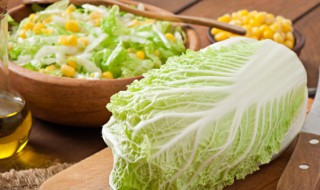 阳台蔬菜怎么种 阳台蔬菜怎么种泡沫箱