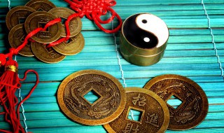 家里放什么最招财 家里放什么最招财好运