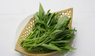 适合阳台种的菜 最适合在阳台种的菜