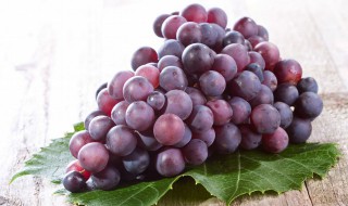 如何种植葡萄又好又大 大棚种植盆栽葡萄怎么样