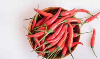 阳台上适合种什么菜 在阳台可以种什么菜好