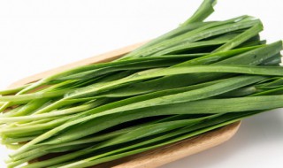 如何种好韭菜 如何种好韭菜韭菜怎么种植