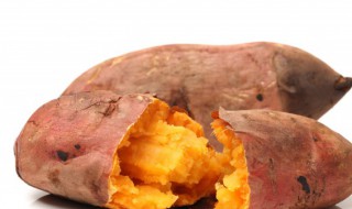 阳台怎么种红薯叶(怎样在家种红薯叶)