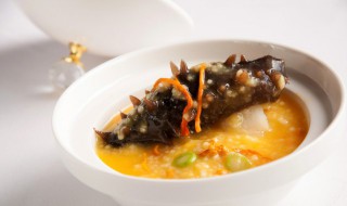 鲜海参怎么吃处理方法 鲜海参吃前如何处理方法