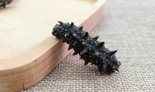 如何发泡海参的方法 怎样泡发海参的方法