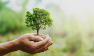 世界环保日是什么节日（世界性的环境保护节日）