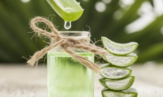 家里放什么花对身体好 在家放什么花身体健康