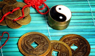 家里放什么东西聚财（家里的摆放什么东西比较聚财）