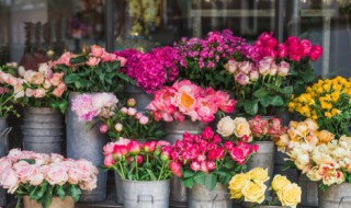 家里放花有什么讲究 家里放花好不好