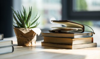 客厅家里放什么花最好（客厅摆什么绿植好）