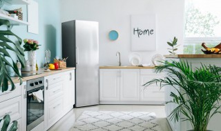 属鸡的家里放什么最好(属鸡的可以在家里面放一个)