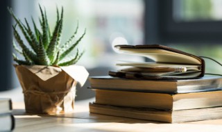 家里装修好放什么植物 家里新装修放什么植物好