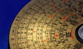 家里客厅财位放什么好 客厅的财位一般放什么好