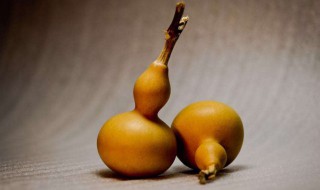 家里放葫芦有什么讲究（家里放葫芦好不）