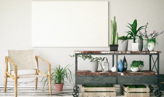 外出家里的花怎么解决（家里出门花花怎么办）