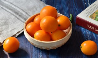 阳台种金桔可以吗(室内种金桔好吗)