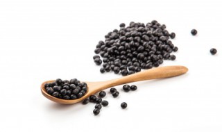 黑豆水培方法 黑豆水培小盆栽养法