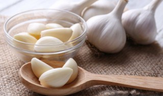 水培大蒜头的方法 水培大蒜的制作方法