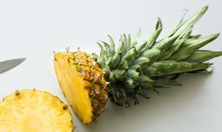 菠萝头水培方法 菠萝头怎么种水培菠萝花