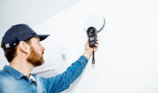 家里放什么可以吸甲醛（装修家里放什么吸甲醛最好）