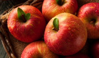 微波炉烤苹果片的做法(烤苹果片的做法 微波炉)