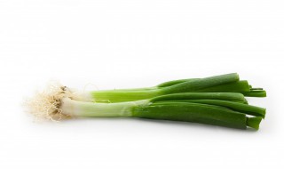 葱怎么水培种植方法（怎么在家种葱水培）