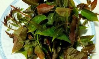 香椿怎么洗（香椿怎么洗才干净）