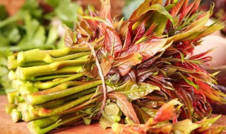 新鲜香椿怎么吃（新鲜香椿可以直接吃吗）