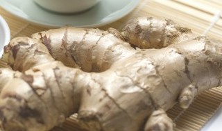 家庭水培生姜种植方法 姜花怎么水培种植