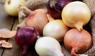 阳台可以种什么菜（家里阳台可以种什么菜）