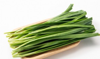 阳台种韭菜用什么土 阳台种韭菜用什么盆子