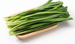 阳台种韭菜怎样种才能粗壮 阳台种韭菜的方法