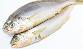 微波炉蒸鲫鱼的做法 鲫鱼如何蒸