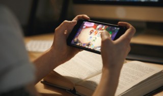 迷你世界的树怎么种(迷你世界的种树怎么种)