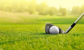 高尔夫球是什么材质 高尔夫球是什么材质软的硬的