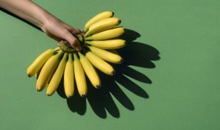 香蕉树是怎么种出来的（香蕉树种在哪里）