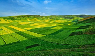 我们如何种好庄稼的谚语 什么告诉我们如何种好庄稼