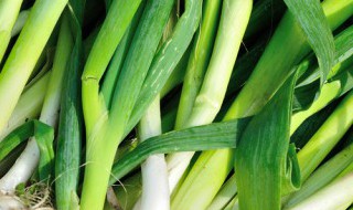 阳台上可以种什么菜（在阳台上可以种什么菜）